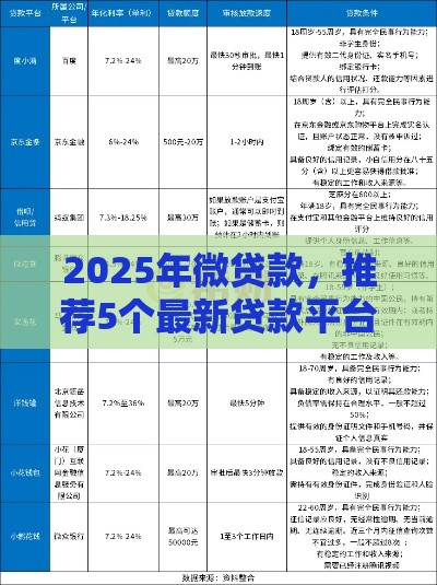 2025年微贷款,推荐5个最新贷款平台公司 2025年微贷款,推荐5个最新贷款平台公司