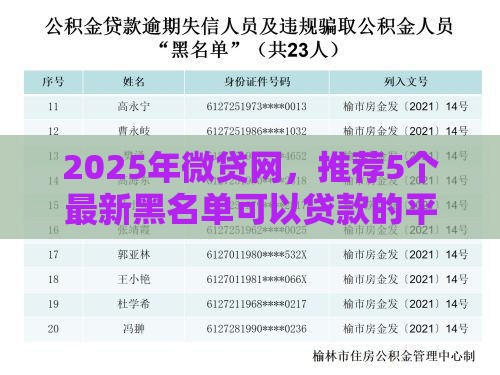 2025年微贷网，推荐5个最新黑名单可以贷款的平台