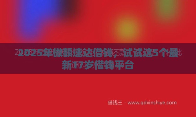 2025年微额速达借钱，试试这5个最新17岁借钱平台