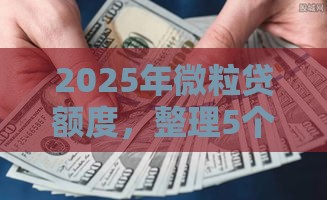 2025年微粒贷额度，整理5个最新个体户贷款平台