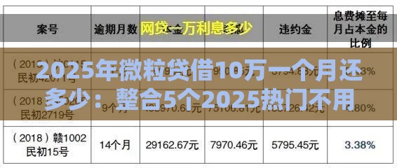 2025年微粒贷借10万一个月还多少：整合5个2025热门不用征信的贷款平台