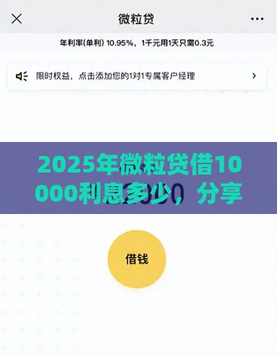 2025年微粒贷借10000利息多少，分享五个最新黑户口子必下款