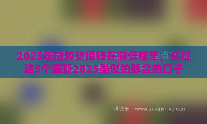2025年微粒贷借钱在微信哪里，试试这5个最新2025类似拍脉会的口子