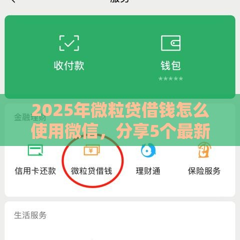 2025年微粒贷借钱怎么使用微信，分享5个最新贷款咨询平台