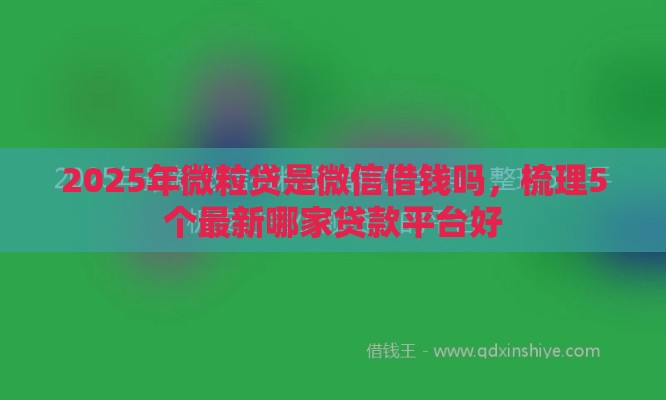2025年微粒贷是微信借钱吗，梳理5个最新哪家贷款平台好