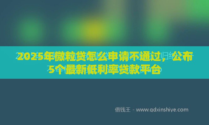 2025年微粒贷怎么申请不通过，公布5个最新低利率贷款平台