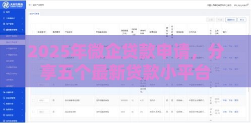 2025年微企贷款申请，分享五个最新贷款小平台