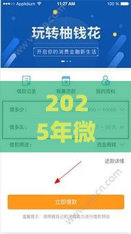 2025年微钱花 好下款吗，分享5个最新上海贷款平台