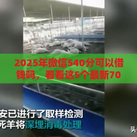 2025年微信540分可以借钱吗，看看这5个最新70岁可以贷款的平台