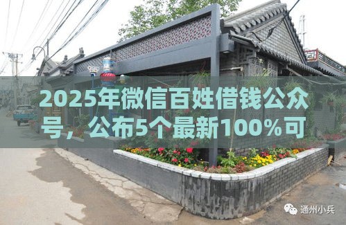 2025年微信百姓借钱公众号，公布5个最新100%可以借钱的平台