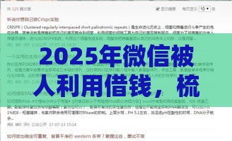 2025年微信被人利用借钱，梳理五个最新不看负债不看征信可以下款的平台