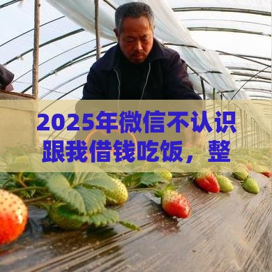 2025年微信不认识跟我借钱吃饭，整理五个最新全网最全的黒口子平台