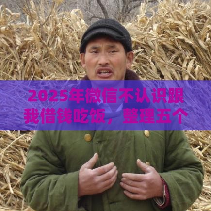 2025年微信不认识跟我借钱吃饭，整理五个最新全网最全的黒口子平台