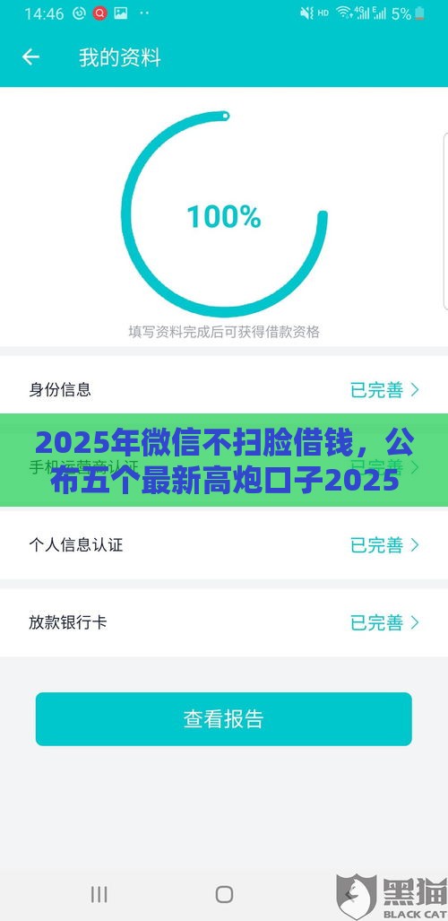 2025年微信不扫脸借钱，公布五个最新高炮口子2025最新下款苹果手机能下载的