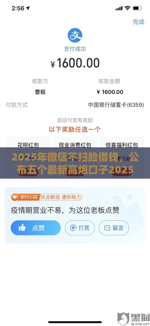 2025年微信不扫脸借钱，公布五个最新高炮口子2025最新下款苹果手机能下载的