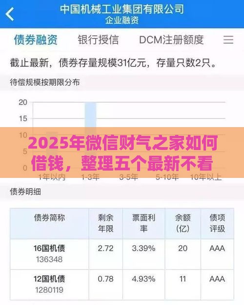 2025年微信财气之家如何借钱，整理五个最新不看负债的网贷平台