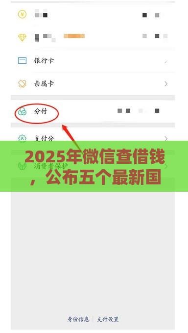 2025年微信查借钱，公布五个最新国外贷款平台