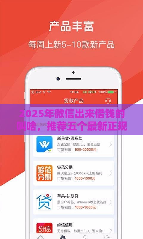 2025年微信出来借钱的叫啥，推荐五个最新正规的贷款平台