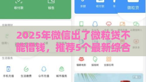 2025年微信出了微粒贷不能借钱，推荐5个最新综合评分不足平台能下款
