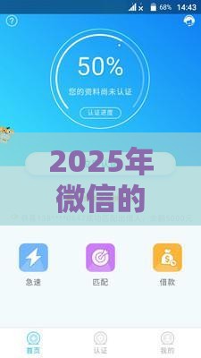 2025年微信的分呗借钱怎么开通，梳理5个最新网上黑口子容易下款的
