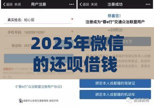 2025年微信的还呗借钱 是 正规的吗，试试这五个最新借款平台正规容易通过