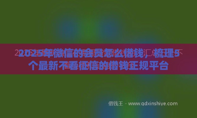 2025年微信的会员怎么借钱，梳理5个最新不看征信的借钱正规平台