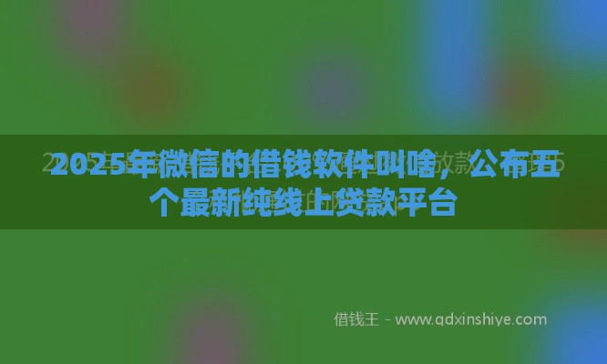 2025年微信的借钱软件叫啥，公布五个最新纯线上贷款平台