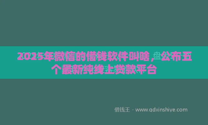 2025年微信的借钱软件叫啥，公布五个最新纯线上贷款平台