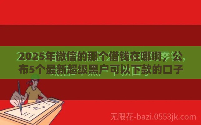 2025年微信的那个借钱在哪啊，公布5个最新超级黑户可以下款的口子