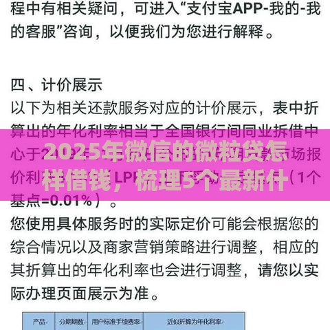 2025年微信的微粒贷怎样借钱，梳理5个最新什么网贷平台好下款