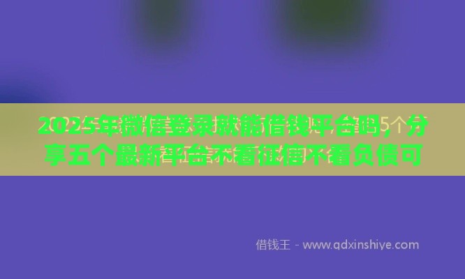 2025年微信登录就能借钱平台吗，分享五个最新平台不看征信不看负债可以贷到钱