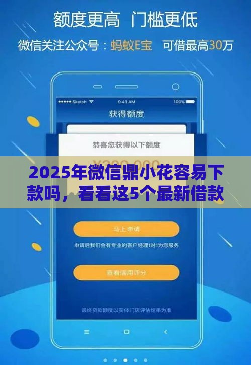 2025年微信鼎小花容易下款吗，看看这5个最新借款平台借钱利息最低