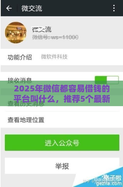2025年微信都容易借钱的平台叫什么，推荐5个最新平台黑户可以借到钱呢