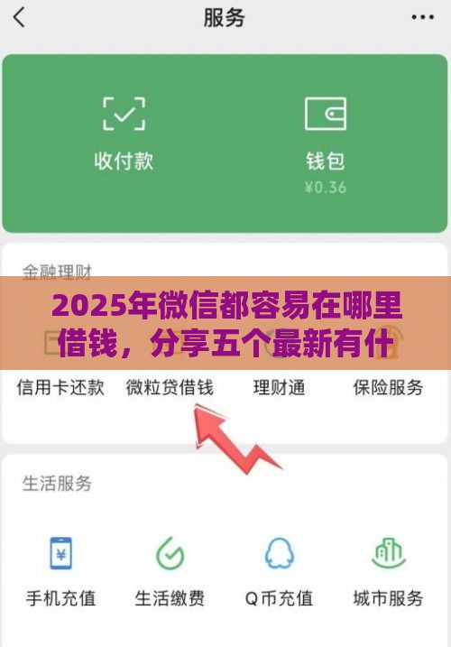 2025年微信都容易在哪里借钱，分享五个最新有什么借钱平台