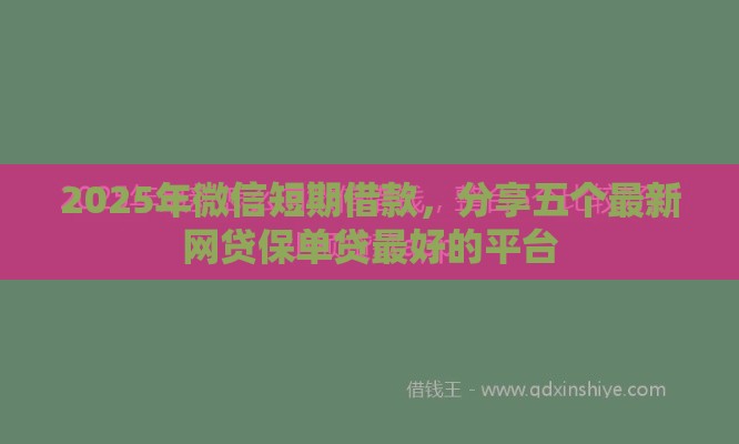 2025年微信短期借款，分享五个最新网贷保单贷最好的平台