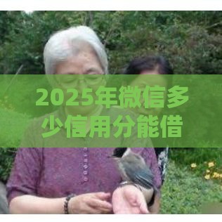 2025年微信多少信用分能借钱啊，试试这五个最新平台借钱靠谱