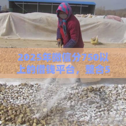 2025年微信分750以上的借钱平台，整合5个最新七天网贷口子