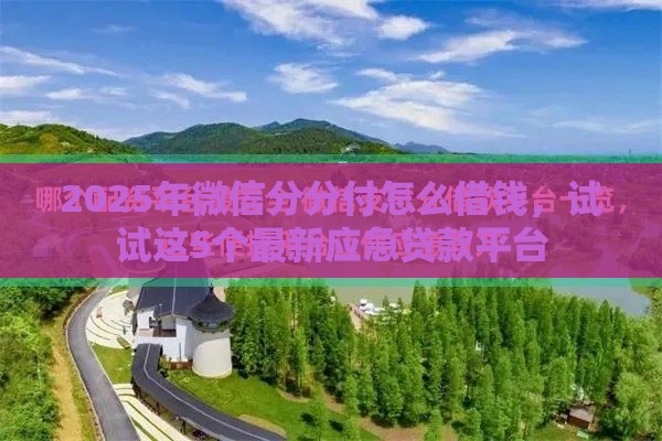 2025年微信分分付怎么借钱，试试这5个最新应急贷款平台