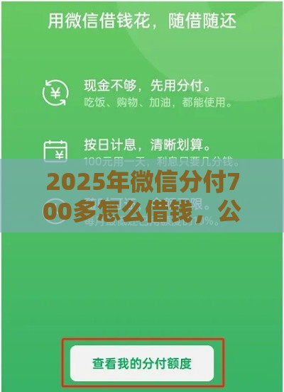 2025年微信分付700多怎么借钱，公布5个最新有容易借的平台嘛