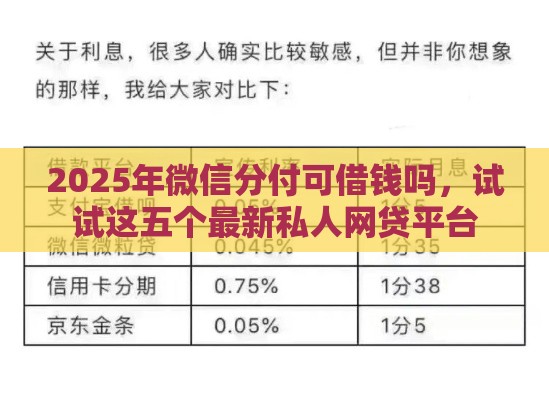 2025年微信分付可借钱吗，试试这五个最新私人网贷平台
