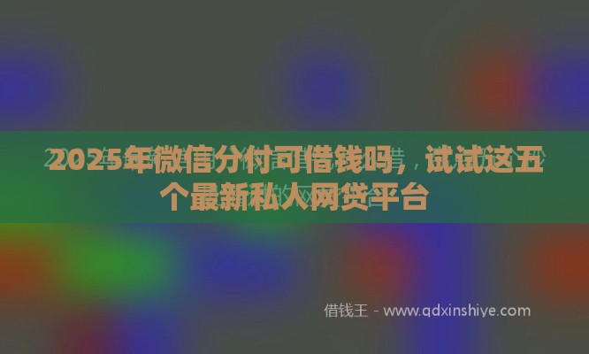 2025年微信分付可借钱吗，试试这五个最新私人网贷平台