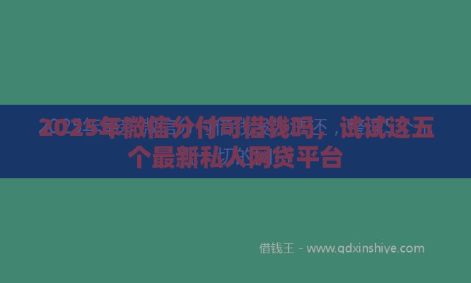 2025年微信分付可借钱吗，试试这五个最新私人网贷平台