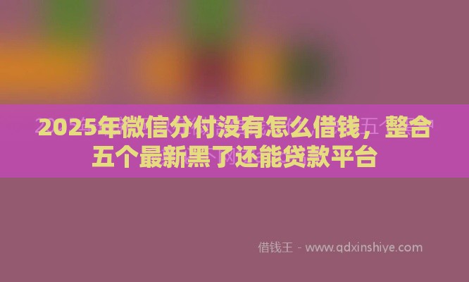 2025年微信分付没有怎么借钱，整合五个最新黑了还能贷款平台