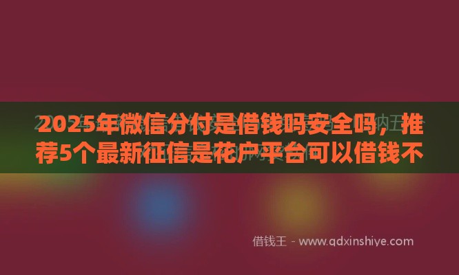 2025年微信分付是借钱吗安全吗，推荐5个最新征信是花户平台可以借钱不