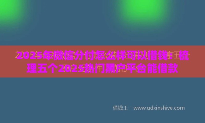 2025年微信分付怎么样可以借钱：梳理五个2025热门黑户平台能借款