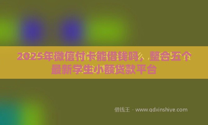 2025年微信付卡能借钱吗，整合五个最新学生小额贷款平台
