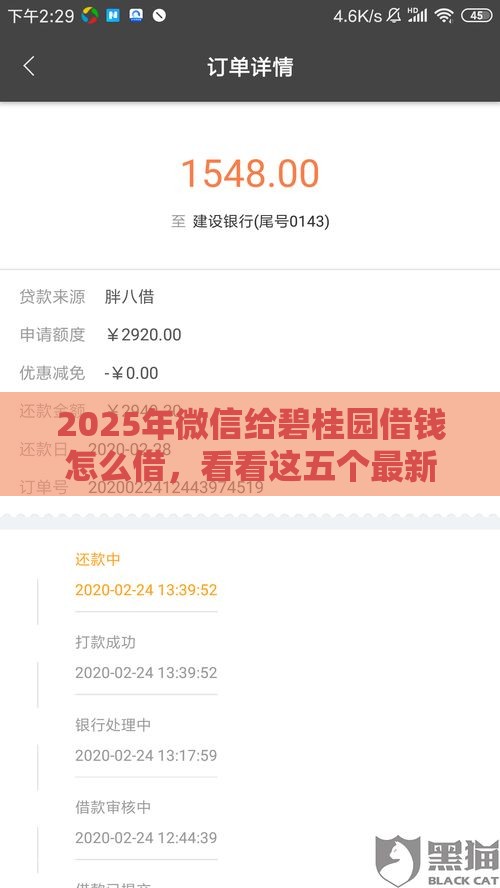 2025年微信给碧桂园借钱怎么借，看看这五个最新黑户呆账下款口子