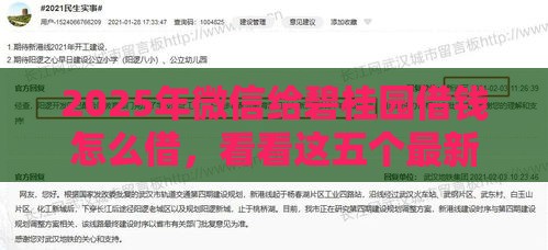 2025年微信给碧桂园借钱怎么借，看看这五个最新黑户呆账下款口子