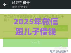 2025年微信跟儿子借钱怎么借出来，分享5个最新网上小额贷款平台好