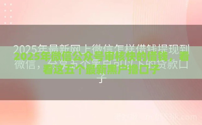 2025年微信公众号审核快的借钱，看看这五个最新黑户撸口子